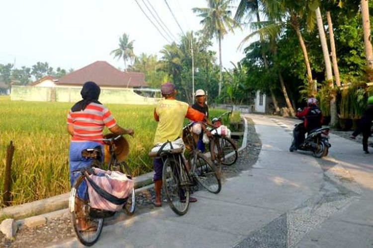 Riset Terapan Vokasi Dorong Pembangunan Ekonomi Desa